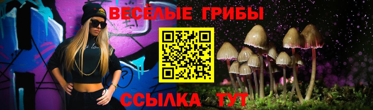 Галлюциногенные грибы прущие грибы Волжский